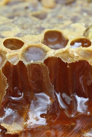 Honey Bar Trio